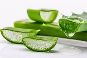 aloe prostatiidi raviks